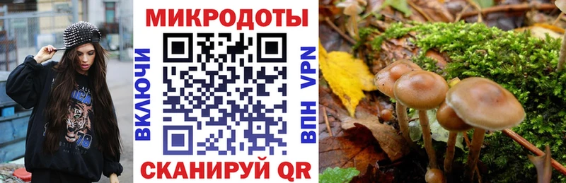 shop формула  KRAKEN зеркало  Хотьково  Псилоцибиновые грибы ЛСД 
